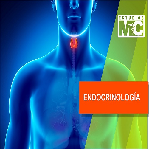Servicio de Endocrinología